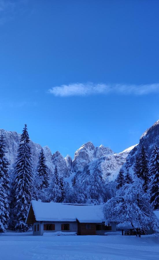 Sport Manca Garni Hotel Radovljica Exterior foto